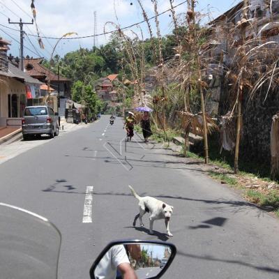 Kawah ijen 930_GF