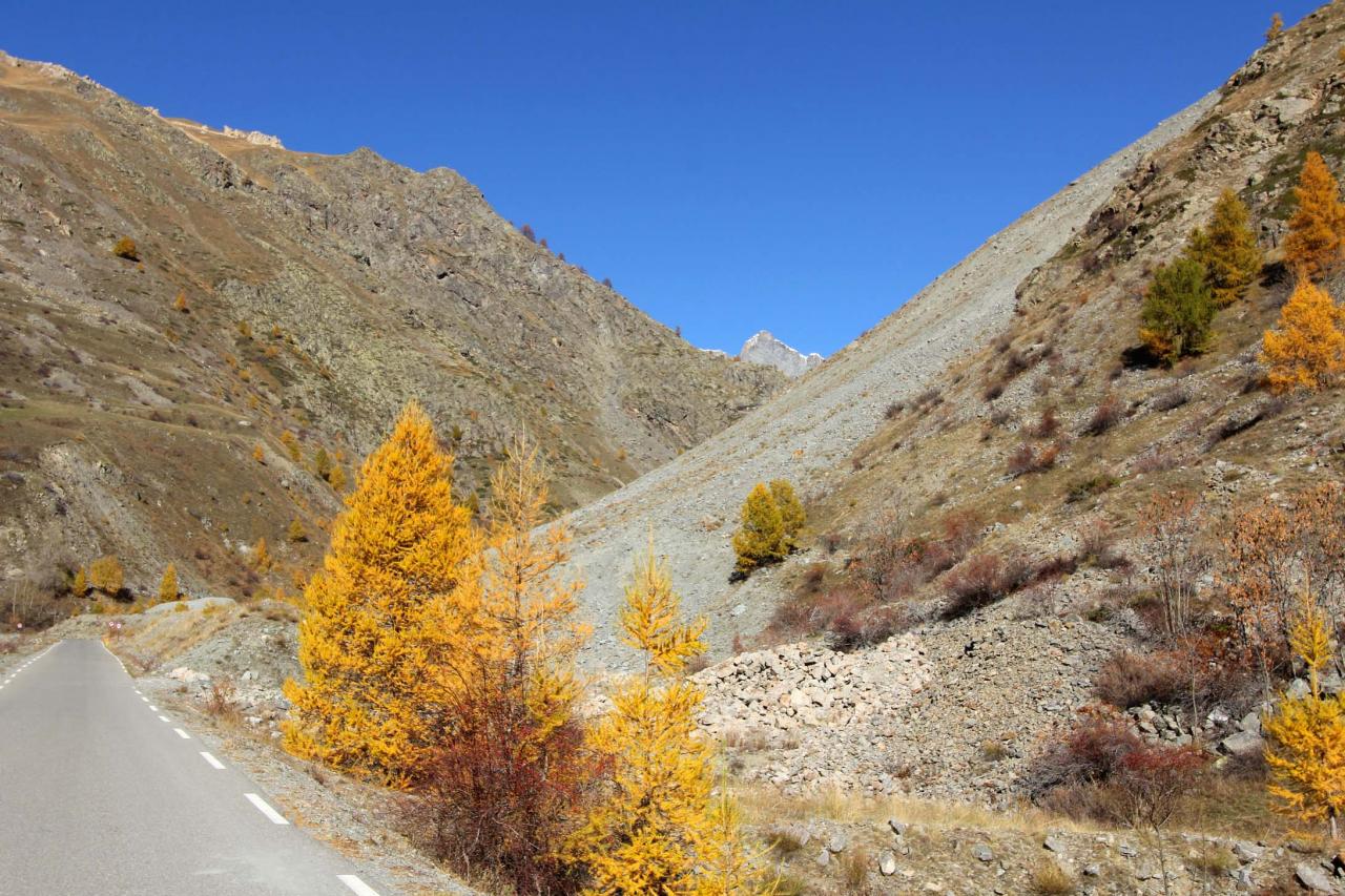Les couleurs chaudes de l'automne avant la neige ... un régal !