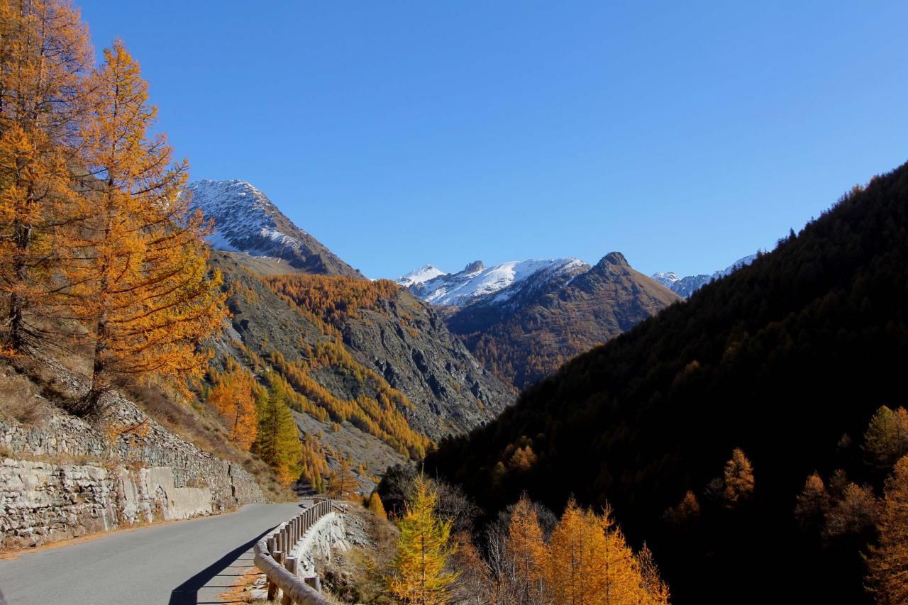 Les couleurs chaudes de l'automne avant la neige ... un régal !