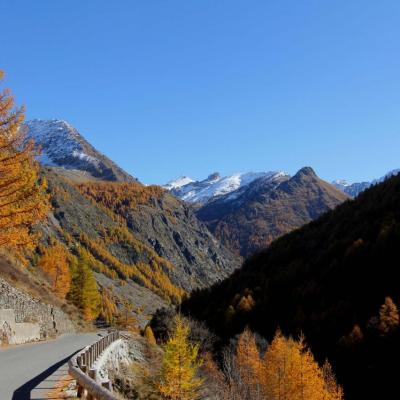 Les couleurs chaudes de l'automne avant la neige ... un régal !