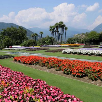 petites cascades et jeux d’eau alternent avec des parterres de plantes annuelles