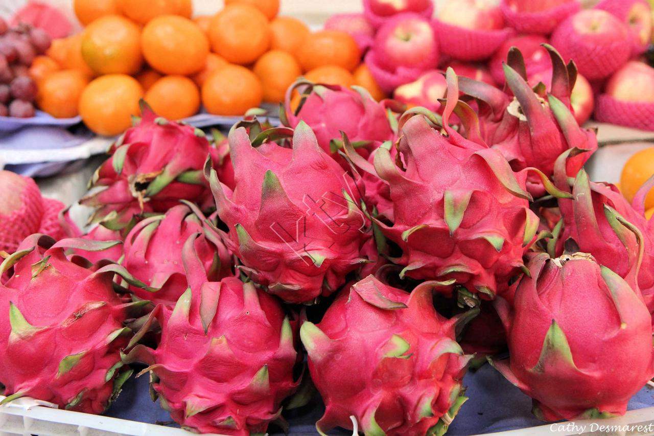 Le fruit du dragon qui pousse sur un cactus