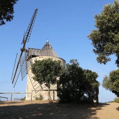 Porquerolles - Le Moulin du Bonheur