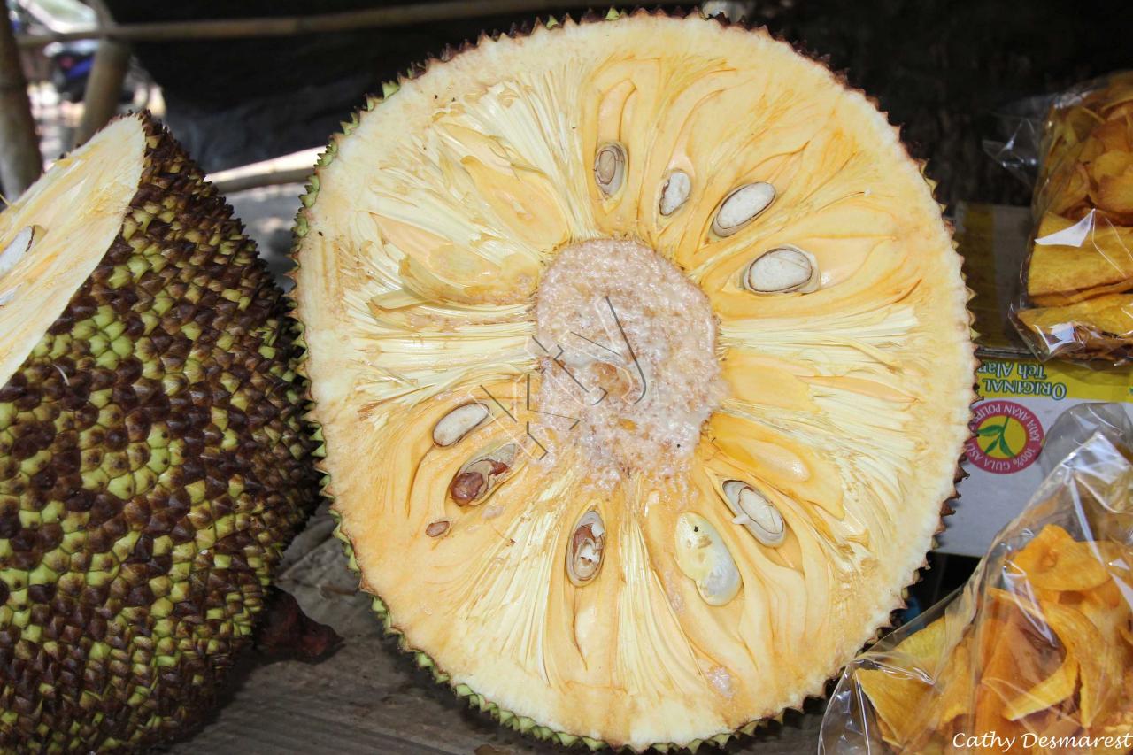 Le nangka fruit du jaquier_GF