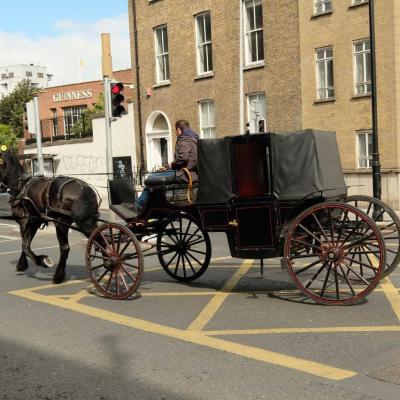 les calèches sont très présentes à Dublin (2)