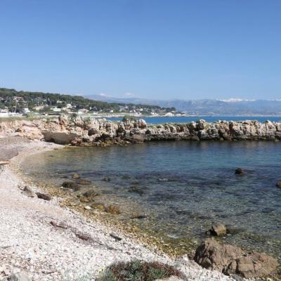 Les petites criques du Cap d'Antibes 09