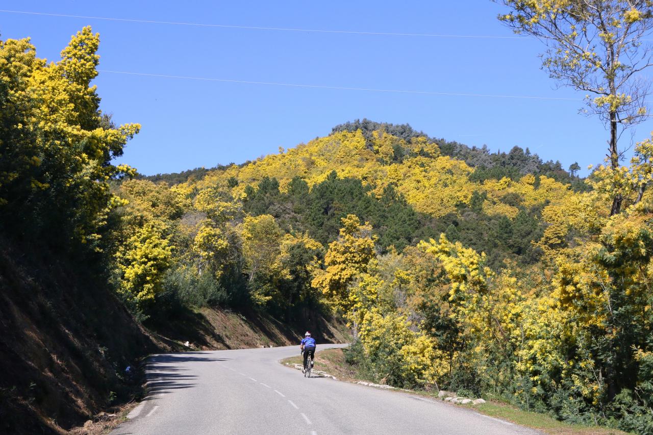 Le massif du Tanneron, massif du mimosa, surplombe Mandelieu