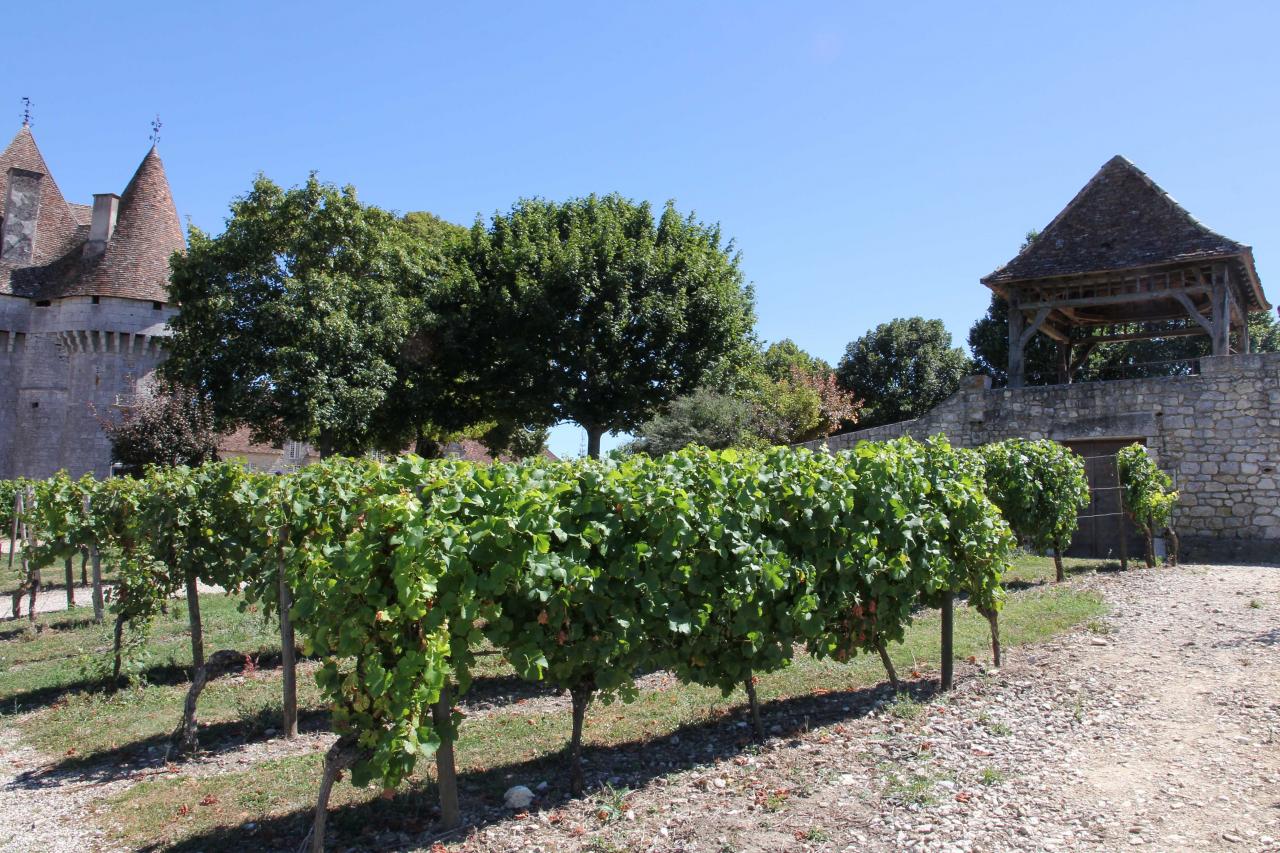 Château MONBAZILLAC classé monument historique 