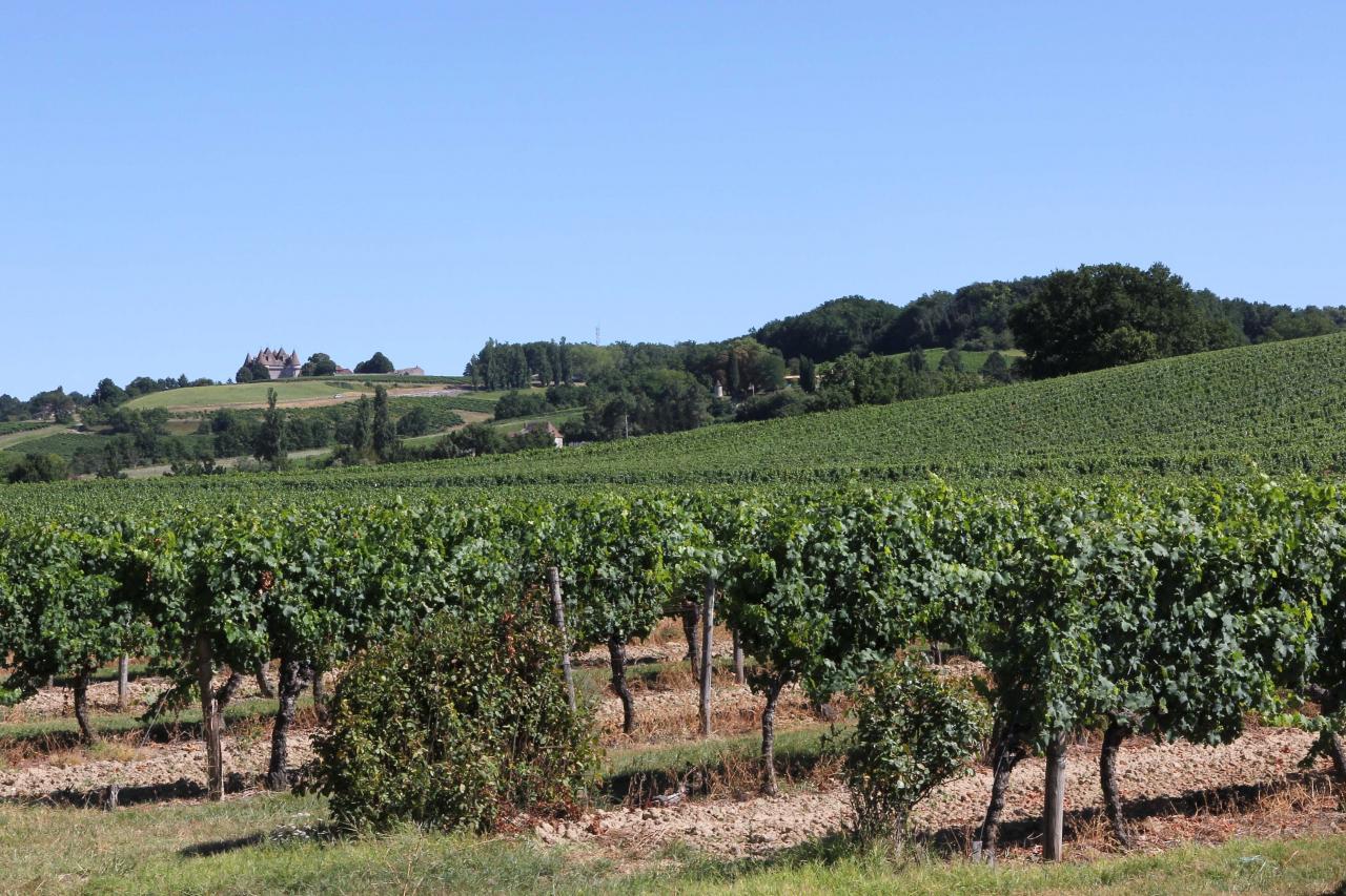 Château MONBAZILLAC classé monument historique 