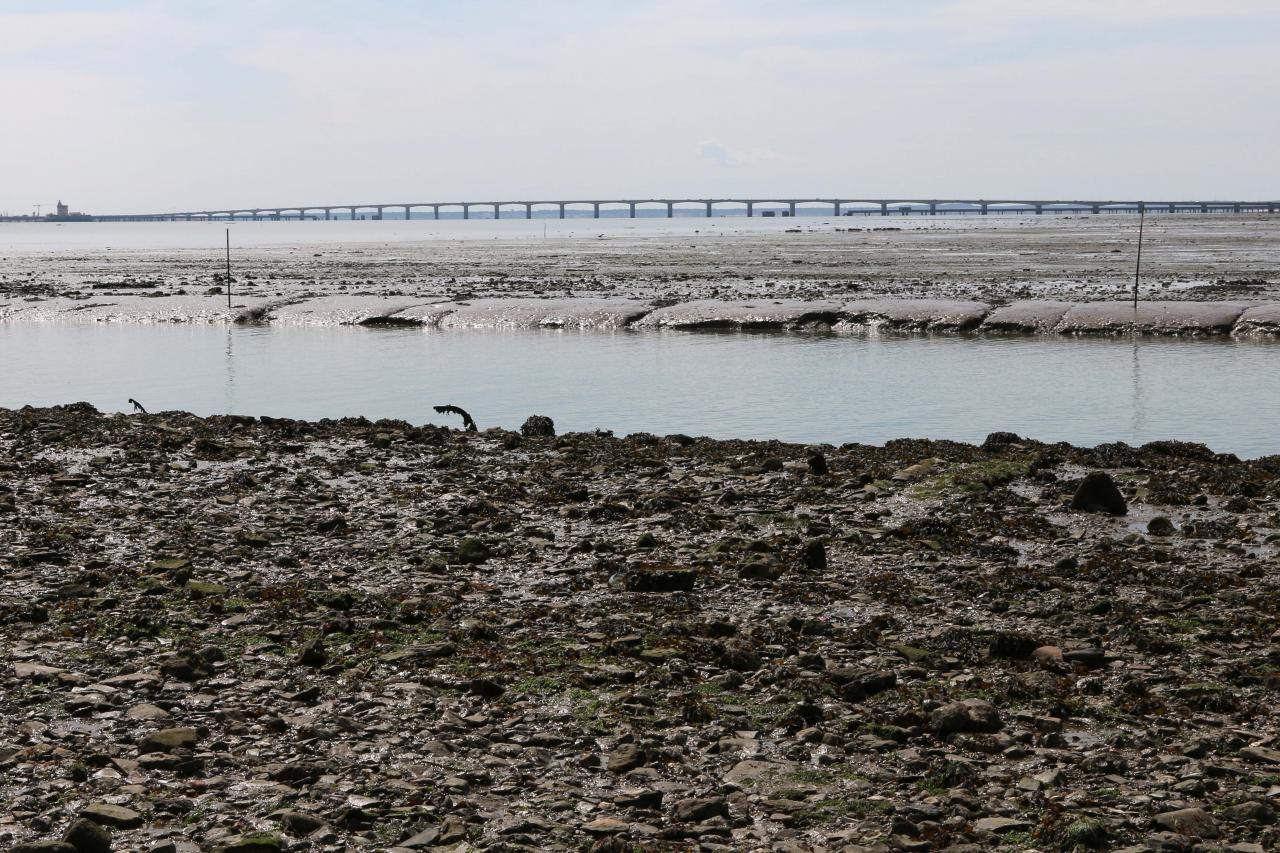 L'île d'Oléron, à marée basse, dommage, et ses cabanes colorées 