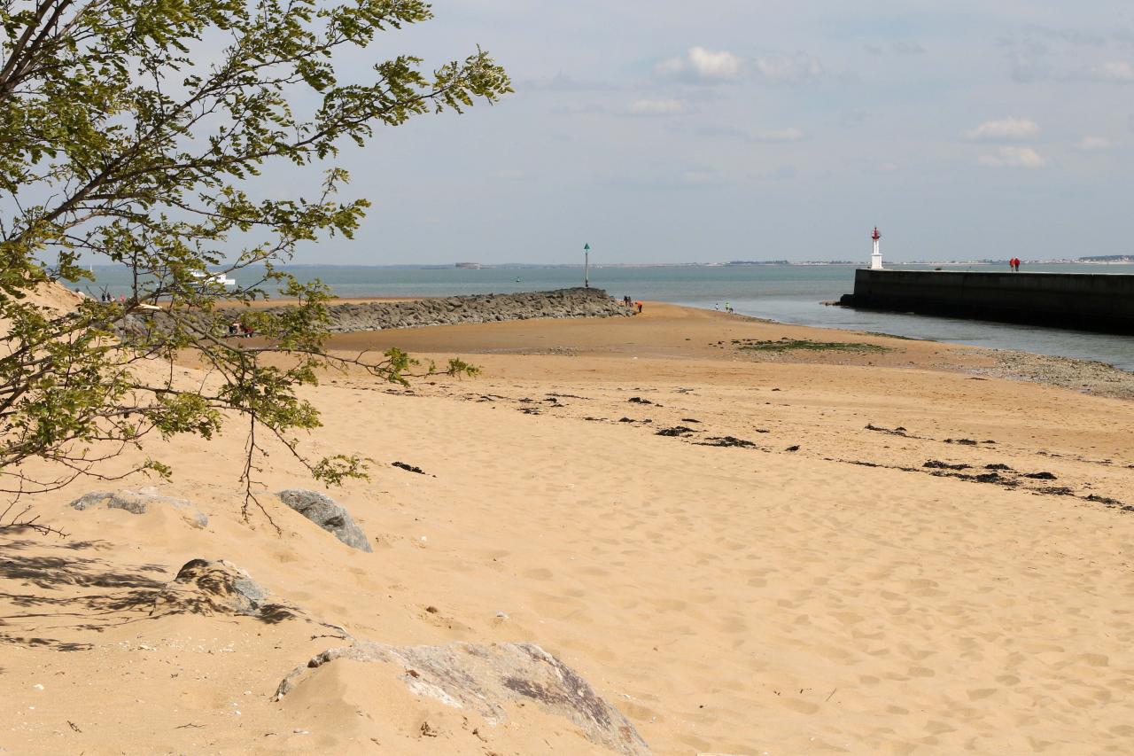 Boyardville et le point de vue sur Fort Boyard