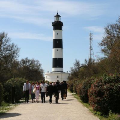 Le phare de Chassiron et la rose de vents à ses pieds - 224 marches