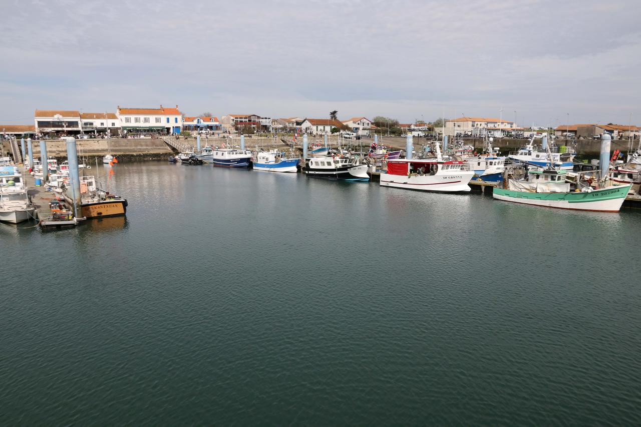 La Cotinière l'unique port de l'île avec une centaine de chalutiers