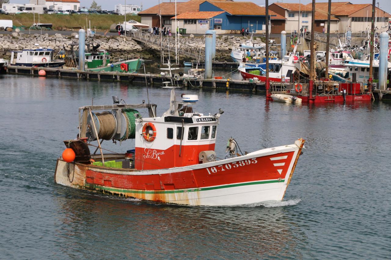 La Cotinière l'unique port de l'île avec une centaine de chalutiers