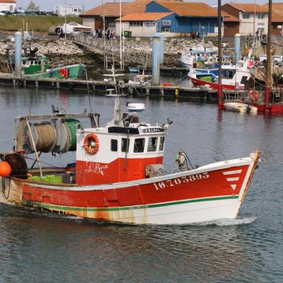 La Cotinière l'unique port de l'île avec une centaine de chalutiers