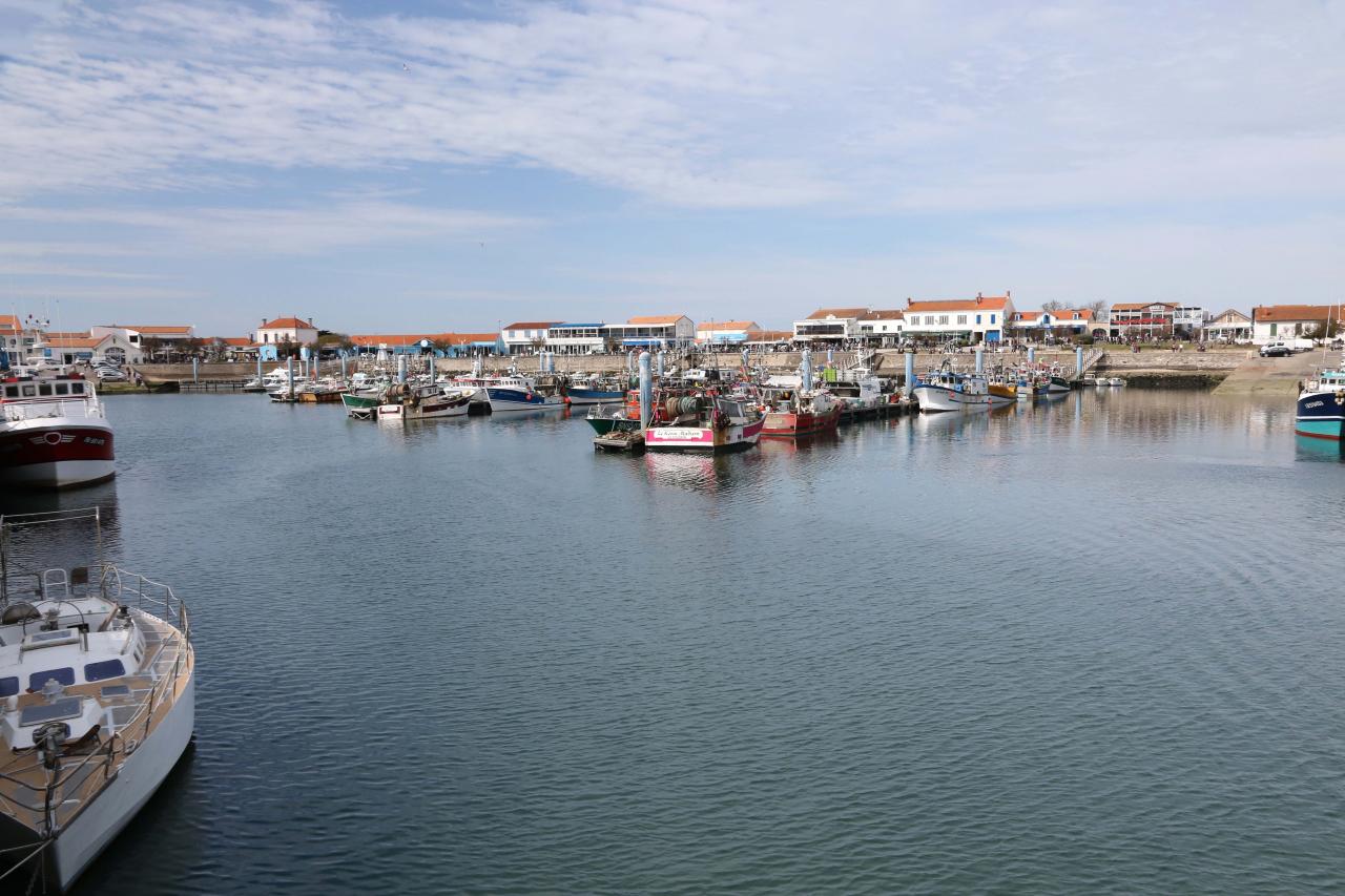 La Cotinière l'unique port de l'île avec une centaine de chalutiers