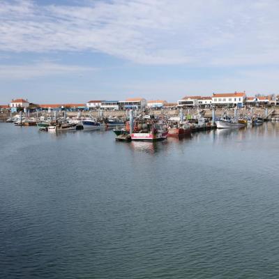 La Cotinière l'unique port de l'île avec une centaine de chalutiers