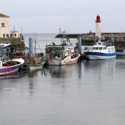 La Cotinière l'unique port de l'île avec une centaine de chalutiers