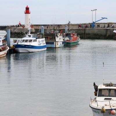 La Cotinière l'unique port de l'île avec une centaine de chalutiers