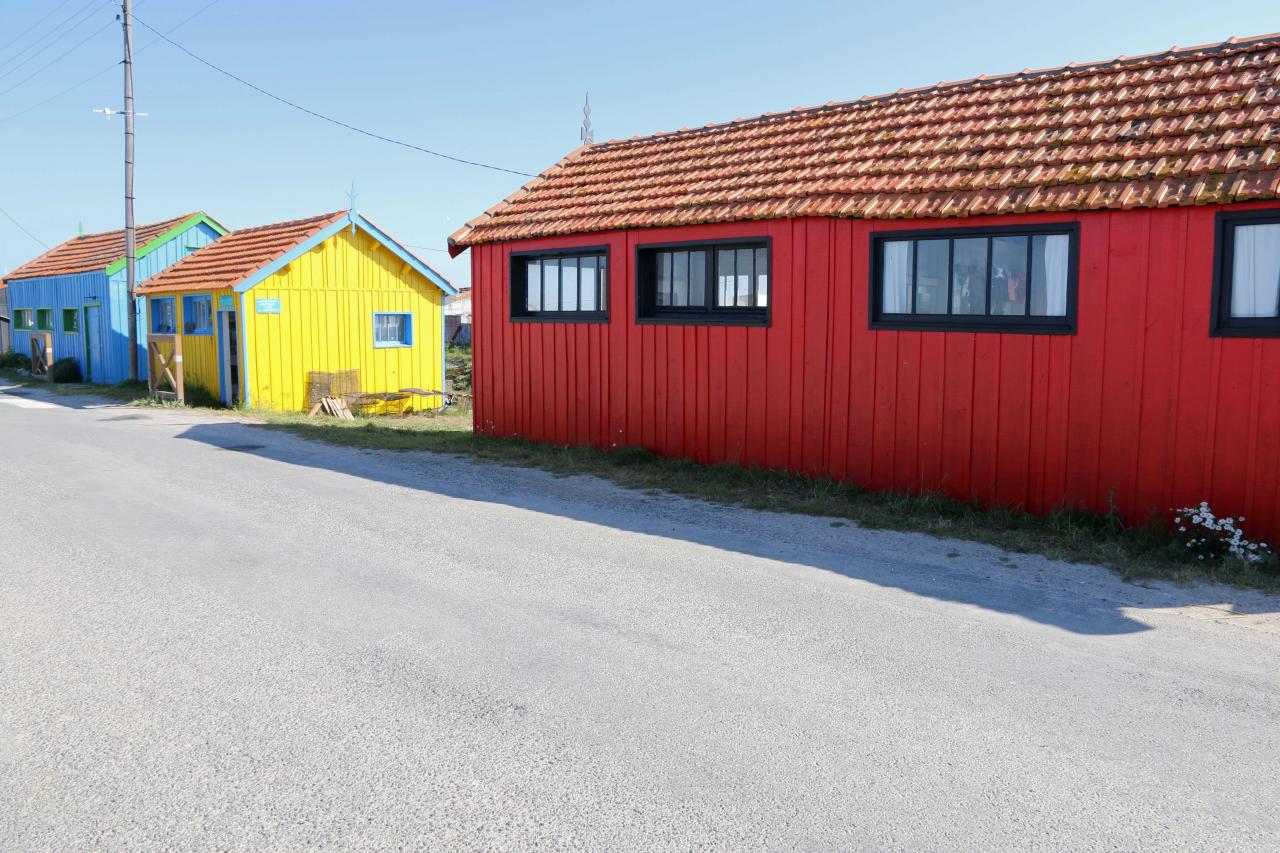 Les cabanes de créateurs à Dolus d'Oléron (La Baudissière)