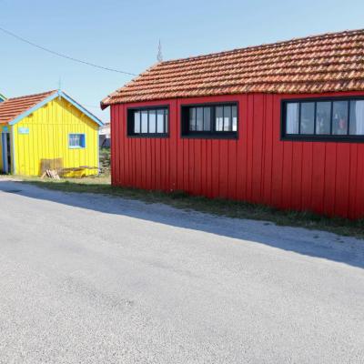 Les cabanes de créateurs à Dolus d'Oléron (La Baudissière)