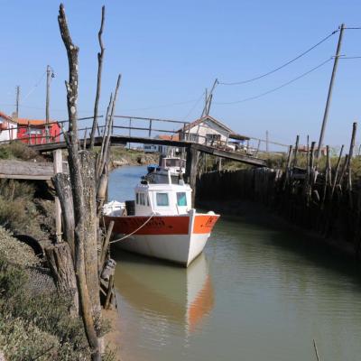 Les cabanes de créateurs à Dolus d'Oléron (La Baudissière)