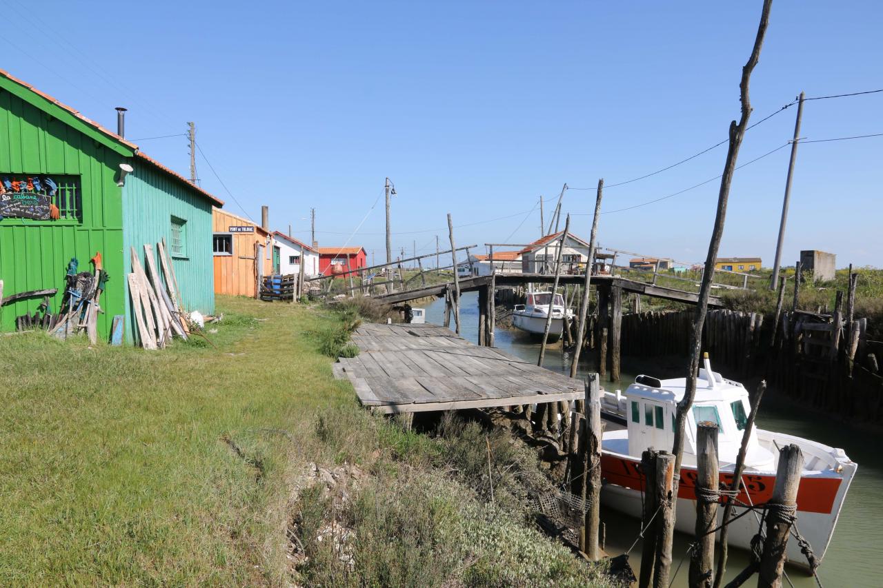 Les cabanes de créateurs à Dolus d'Oléron (La Baudissière)