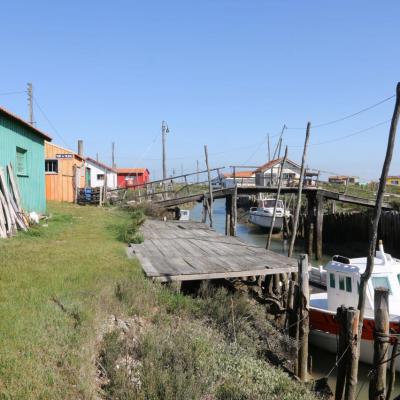 Les cabanes de créateurs à Dolus d'Oléron (La Baudissière)