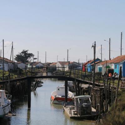 Les cabanes de créateurs à Dolus d'Oléron (La Baudissière)