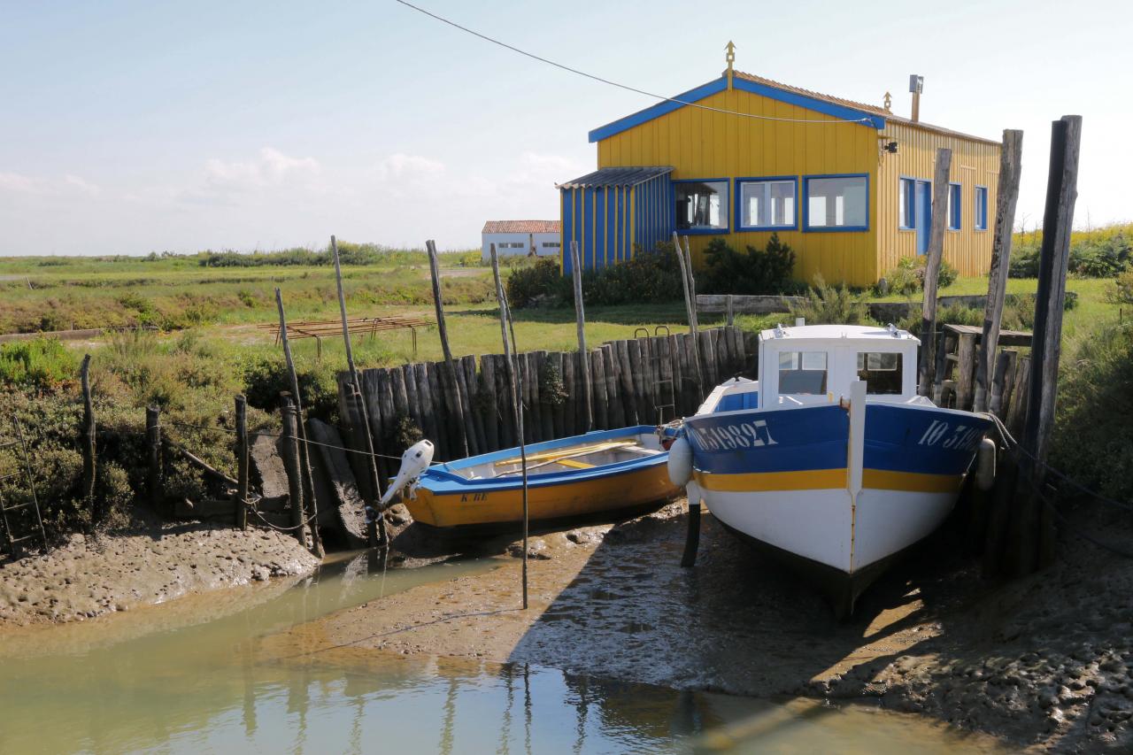 Les cabanes de créateurs à Dolus d'Oléron (La Baudissière)