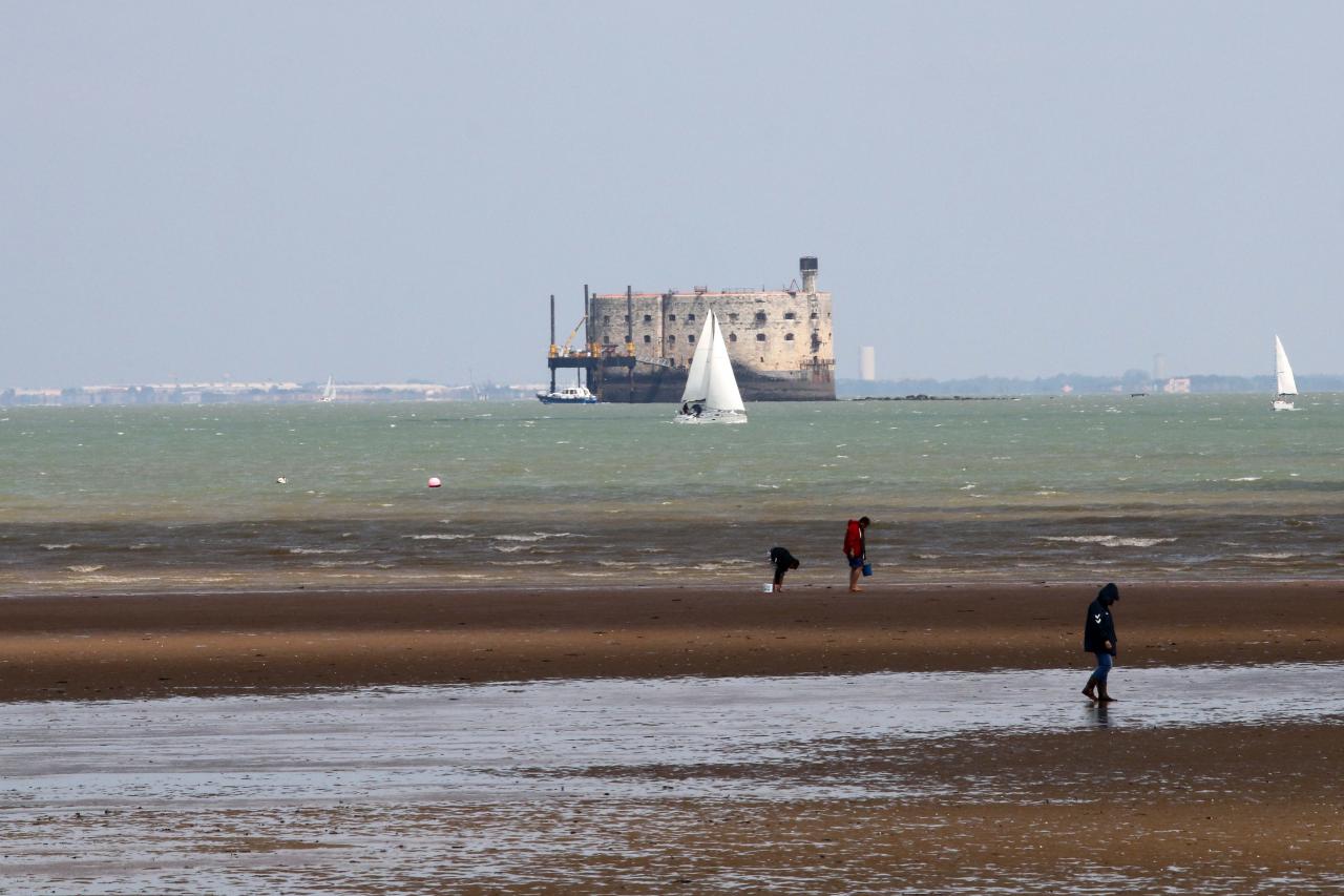 Balade autour de Fort Boyard sur catamaran au départ de Boyardville