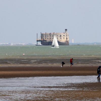 Balade autour de Fort Boyard sur catamaran au départ de Boyardville