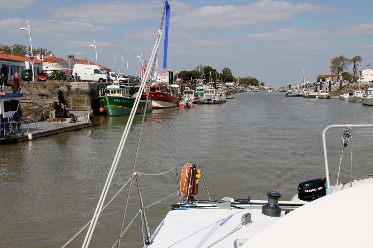 Balade autour de Fort Boyard sur catamaran au départ de Boyardville