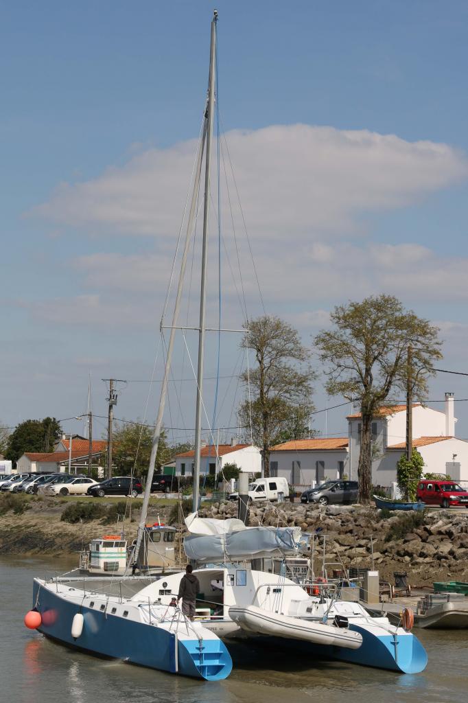 Balade autour de Fort Boyard sur catamaran au départ de Boyardville