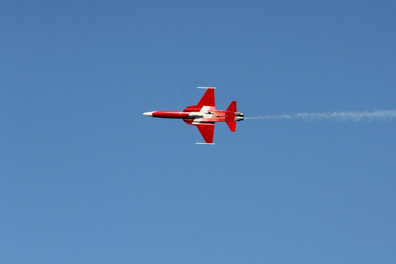 60 ans de la Patrouille de France à Salon de Provence