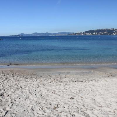 Plage des pêcheurs mars 2014 (6)