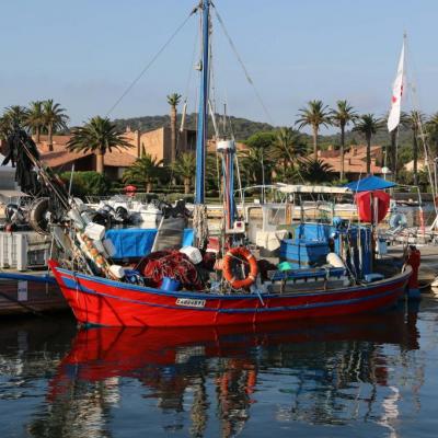 Le port de Porquerolles