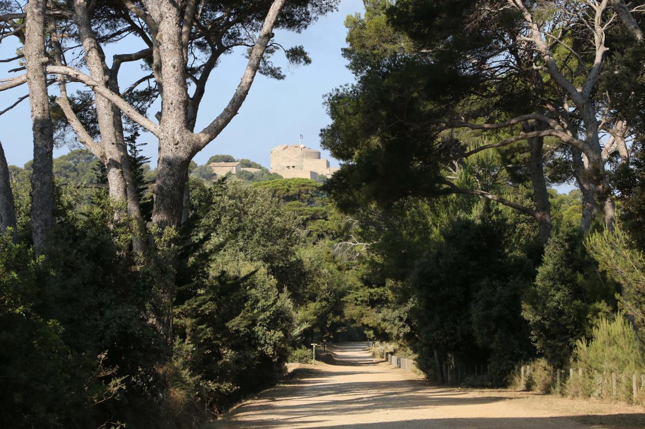 les chemins de Porquerolles