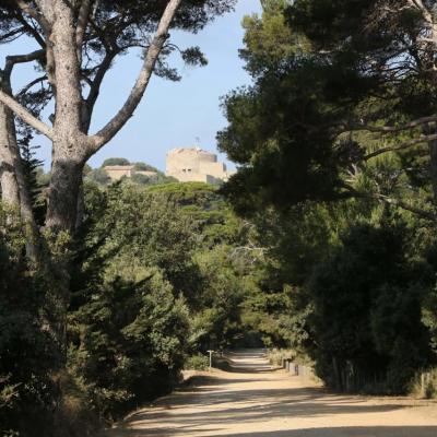 les chemins de Porquerolles