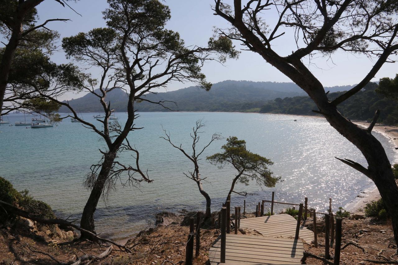 Plage Notre Dame une des plus belles de Porquerolles, au nord de l'île