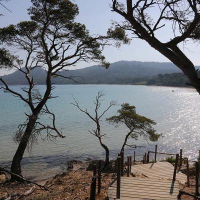 Plage Notre Dame une des plus belles de Porquerolles, au nord de l'île