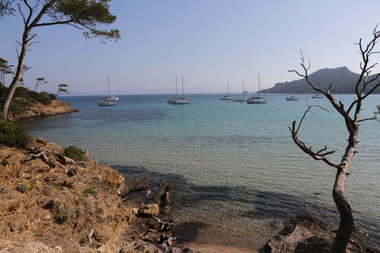 Plage Notre Dame une des plus belles de Porquerolles, au nord de l'île