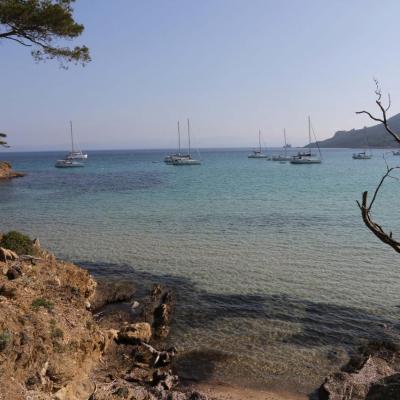 Plage Notre Dame une des plus belles de Porquerolles, au nord de l'île