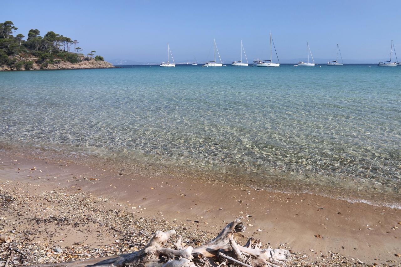 Plage Notre Dame une des plus belles de Porquerolles, au nord de l'île