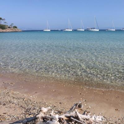 Plage Notre Dame une des plus belles de Porquerolles, au nord de l'île