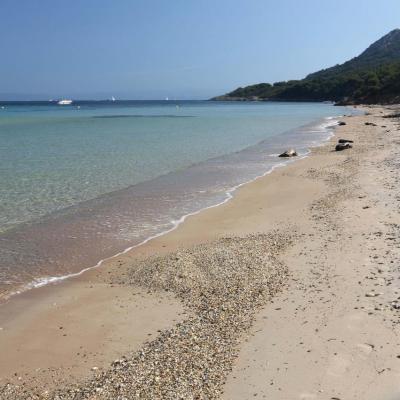 Plage Notre Dame une des plus belles de Porquerolles, au nord de l'île