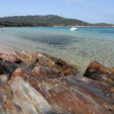 Plage Notre Dame une des plus belles de Porquerolles, au nord de l'île