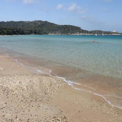 Plage Notre Dame une des plus belles de Porquerolles, au nord de l'île