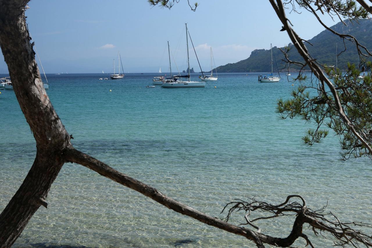 Plage Notre Dame une des plus belles de Porquerolles, au nord de l'île