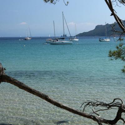 Plage Notre Dame une des plus belles de Porquerolles, au nord de l'île